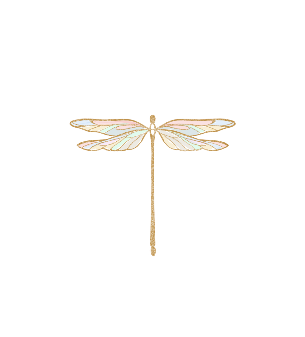 THE DRAGONFLY- Our Symbol of Transformation