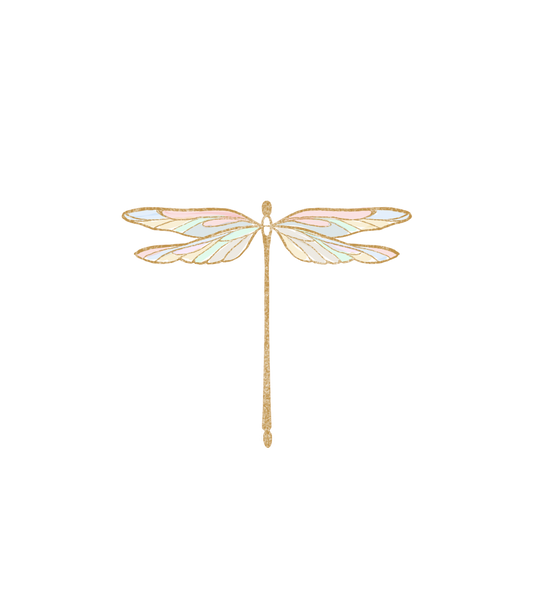 THE DRAGONFLY- Our Symbol of Transformation